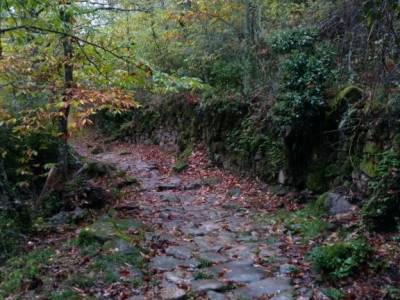 Sierra de Francia [Fiesta de la Almudena] senderismo montaña guias de senderismo senderismo irati h